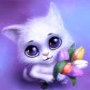 NIGHT_CAT8