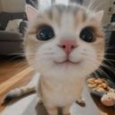 dasha5550555gmailcom