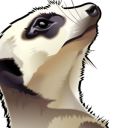 TheMeerkats