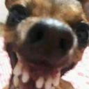 UkiMiller