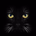 LeonoraKeit