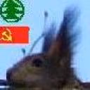 squirrel3500