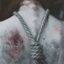 Xierillae