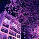 Blue_Star2