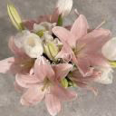 Kitkatic_
