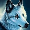 user08930223