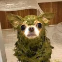 sewyyr