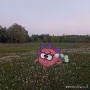 golubi_onelove