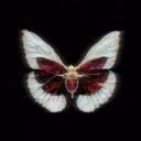 Bysth0_0