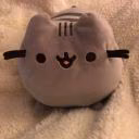 Daniel_47300