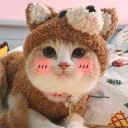 Animehnisa1111