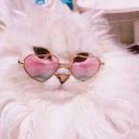 pinkcocaine77
