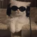 dexxyrouze