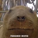 k_t_o_t_o