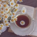Dasha_Smit
