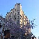 Youriya
