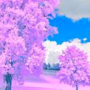 user41149603