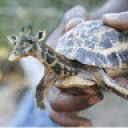 VarvaraK3