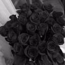 lin_rask
