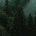 ruslan_82638