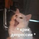 Hibi_02