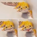Karo_asoturian
