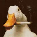 goose_0406