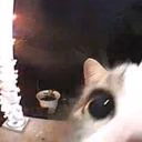 kalina_bb
