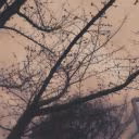 user20618024