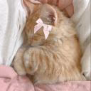 lilwwk