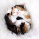 AngelNy_ForeveLove