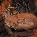 LisenokFamily