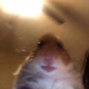 angxlinaaaq