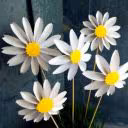 Ranne_Esmi