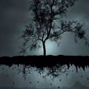 _deadly_night_