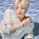 vi_Minho