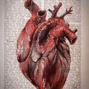 _love_serial_killer