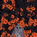 Filin_s_Yshkami