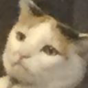 TheFuzzyWarrior