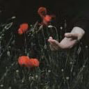 child_from_cemetery