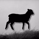 UnnecessarySheep