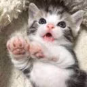 nasty37a_66