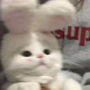 rinawww0