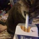 wiallix