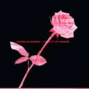 sabhiny_