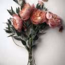 MilanaA_writer