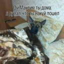Vitaly_top1995