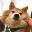 Yki_chan