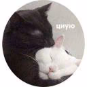 user19948942