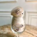 funny_Sweet